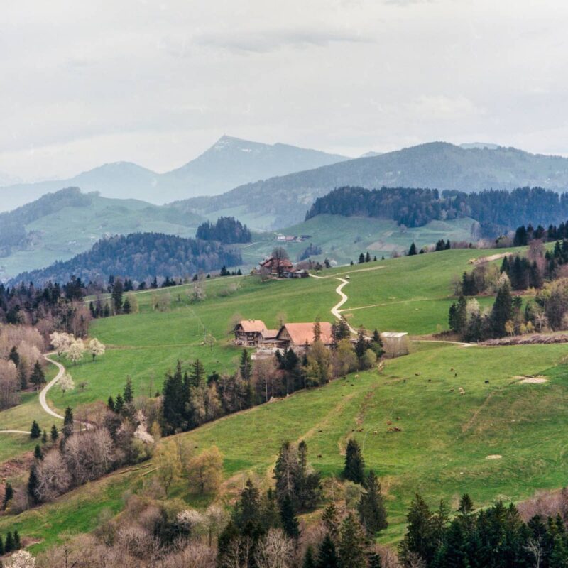 Berghilfe – auf Alpstall die Sonne einfangen
